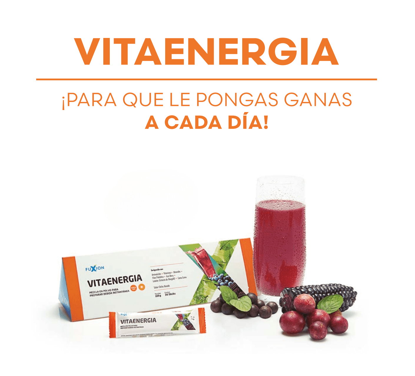 VITA ENERGÍA